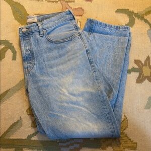 Everlane The 90’s Cheeky Jean 28 Ankle